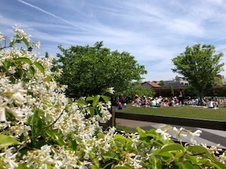 IMG_6088.jpg