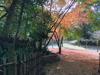 立田自然公園 仰松軒 永野忘れな日記