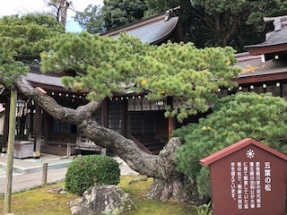 IMG_4637.jpg