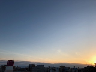 IMG_3558.jpg