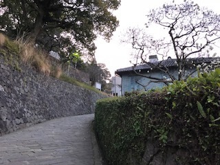 IMG_3968.jpg