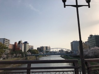 IMG_4892.jpg