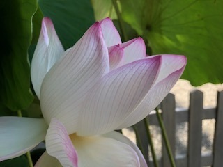 IMG_0682.jpg
