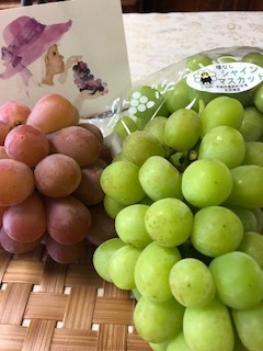 IMG_0749.jpg