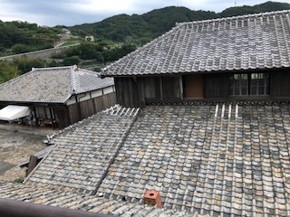 IMG_1740.jpg