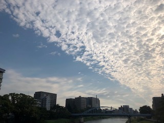 IMG_1939.jpg