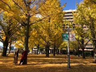 IMG_3559.jpg