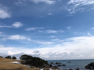 IMG_8849.jpg