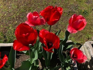 IMG_8912.jpg
