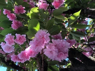 IMG_9749.jpg