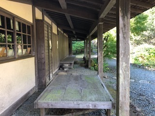 IMG_7255.jpg
