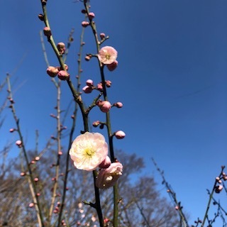 IMG_0580.jpg