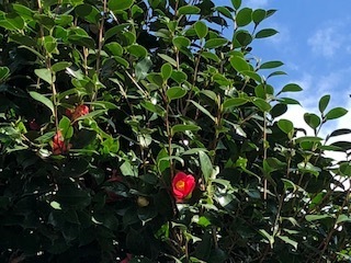 IMG_0830.jpg