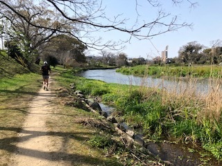 IMG_3744.jpg