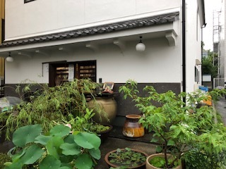 IMG_9784.jpg