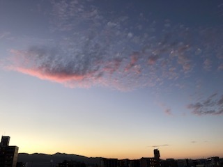 IMG_1929.jpg