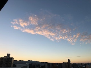 IMG_1924.jpg