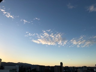 IMG_1920.jpg