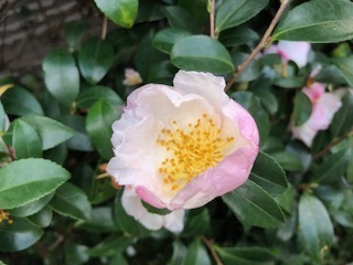 IMG_9804.jpg
